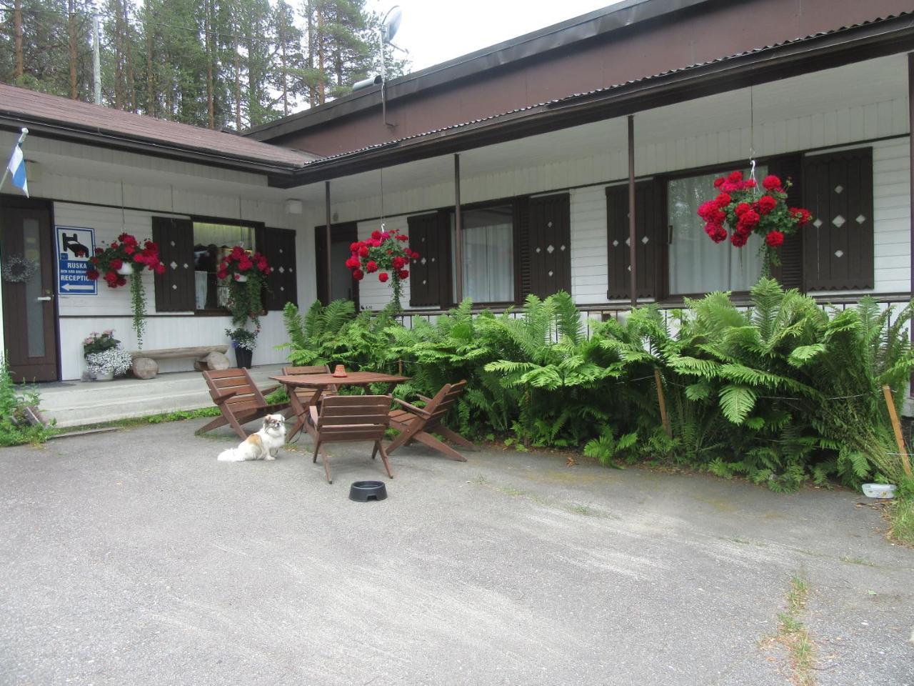 Ruska Bed & Breakfast Taivalkoski Eksteriør bilde